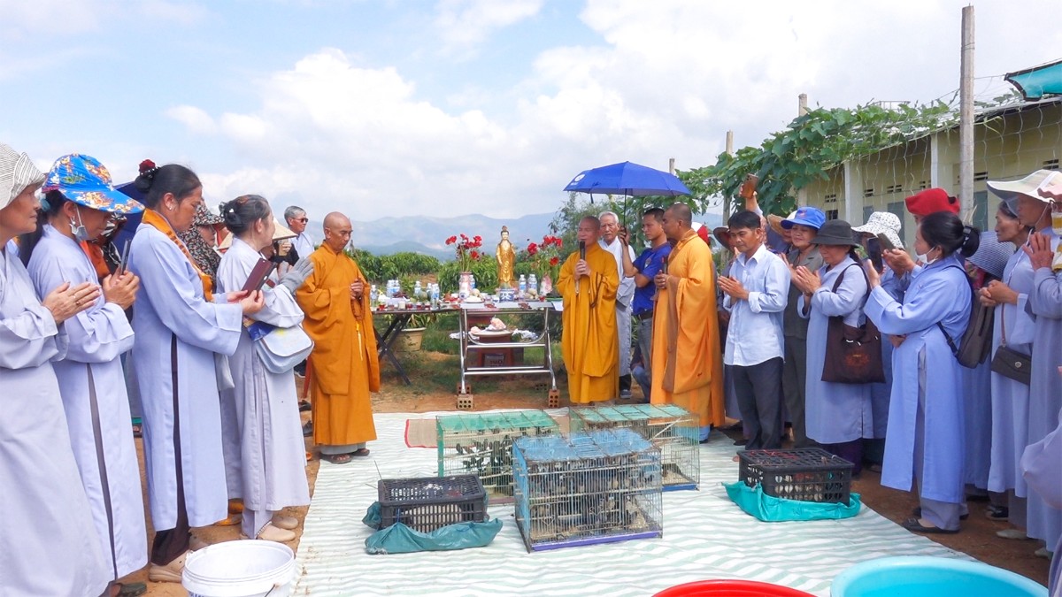Nghi thức thả chim phóng sanh trong mùa Phật đản